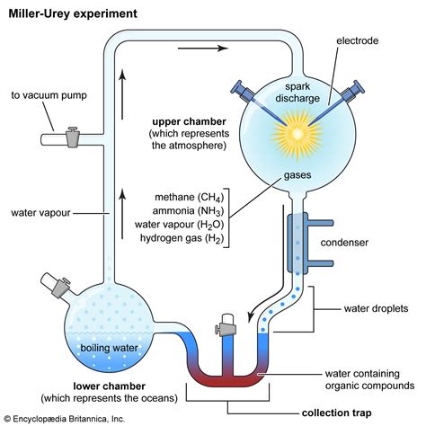 miller urey experiment results